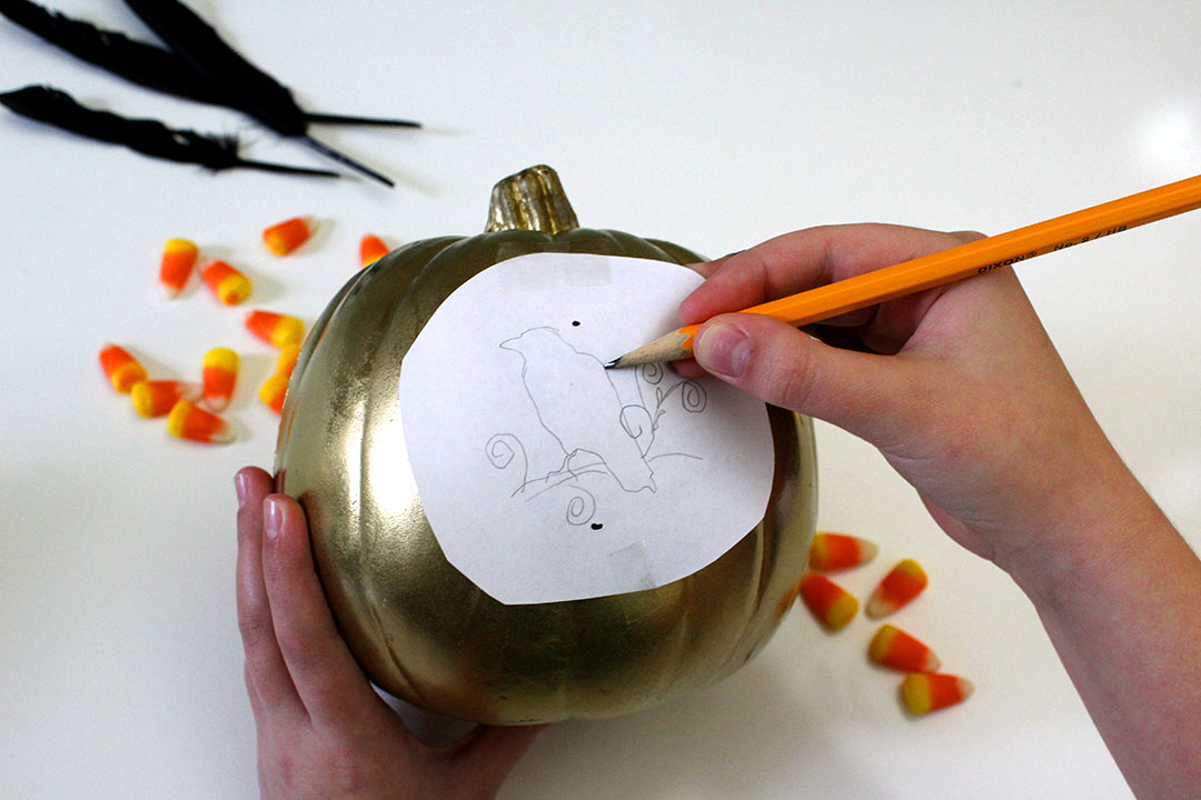 drawing bird onto pumpkin
