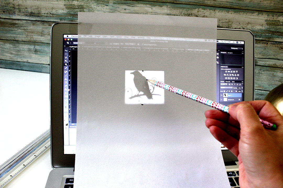 tracing bird on computer